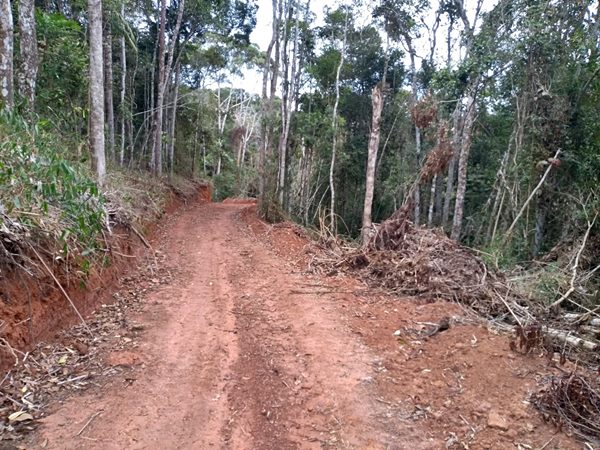 Policia ambiental e idaf descobrem grandes areas de mata Atlantica desmatadas em Afonso Claudio 2