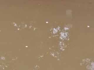 Bra&ccedil;o Sul do Rio Jucu em Marechal Floriano continua cheio de sujeiras