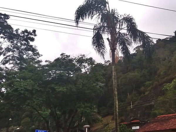 Chuva com muito vento nas montanhas em Marechal Floriano 02