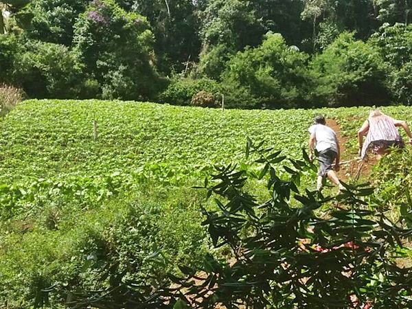 Chuvas em Marechal Floriano elevam nivel do Braco Sul do Rio Jucu 02