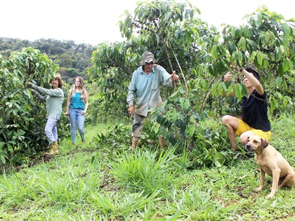 Comércio Justo incrementa a renda de cafeicultores em cooperativa capixaba4