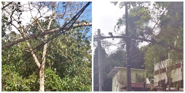 Ventos vindos do Sul trazem friagem e derrubam arvores em Marechal Floriano 02
