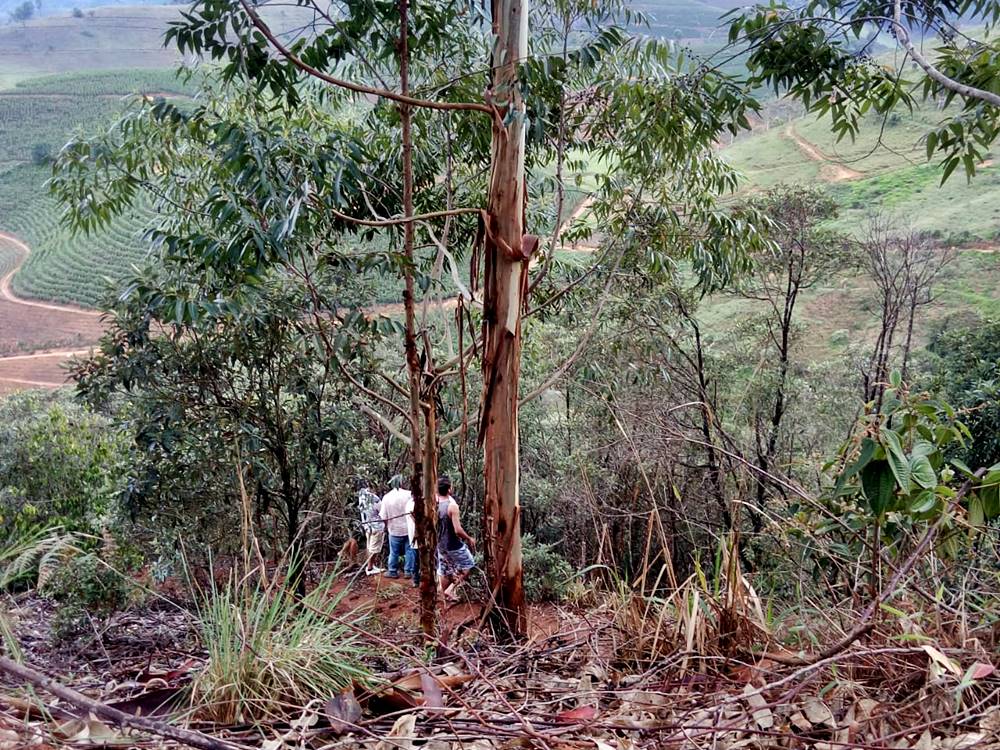 Texto: Montanhas Capixabas / Foto: PMES