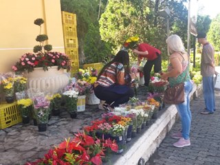 Flores para o Dia de Finados em Marechal Floriano e Domingos Martins 3