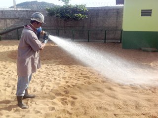 Produto sem toxidade pretende acabar com os focos de mosquitos 2