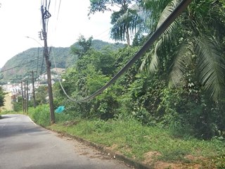 Queda de galhos de árvores sobre cabos telefônicos na estrada velha de Campinho 2