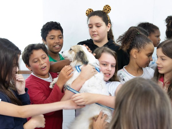 Escola de Santa Isabel ensina alunos a terem respeito e amor pelos animais 3