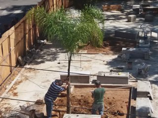 Plantios começam na pracinha ainda em reforma em Marechal Floriano