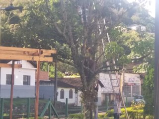 Projeto Natal Luz será inaugurado no próximo domingo 09 em Marechal Floriano