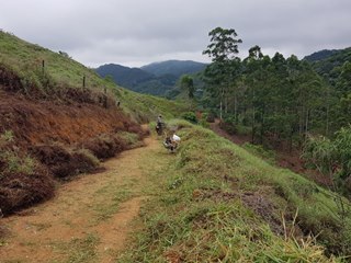 Servidores municipais cortam capim em estrada vicinal em Marechal Floriano