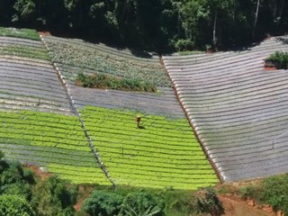 Controle de irrigação garante produção de hortaliças em Marechal Floriano 2