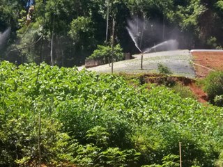 Controle de irrigação garante produção de hortaliças em Marechal Floriano 3