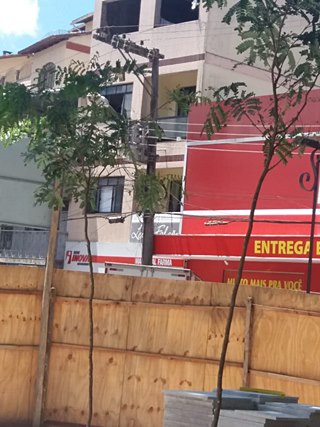 Mudas da espécie pau brasil serão plantas na tarde desta segunda feira 15 na praça de Marechal Floriano