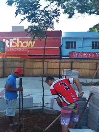 Mudas de pau brasil já estão plantadas na pracinha de Marechal Floriano