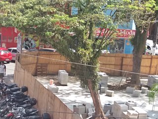 Rua fechada para corte de árvore amanhã 11 em Marechal Floriano