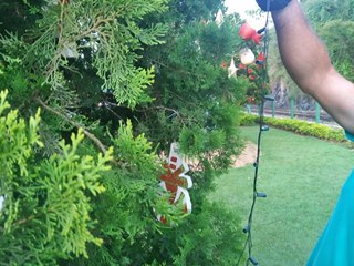 V&acirc;ndalos agem no Natal Luz em Marechal Floriano 3