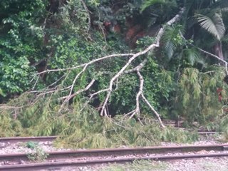 Árvores caídas na Rodovia BR 262 linha férrea e no rio assustam moradores 2