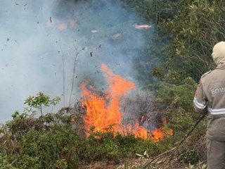 Corpo de Bombeiros debela incêndio e salva floresta nativa em Marechal Floriano