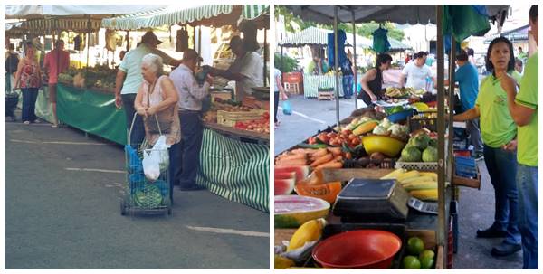 Feira de Marechal Floriano mantem producao rural mesmo na estiagem 02