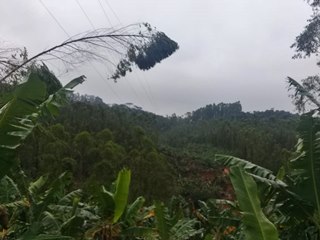 Mais de 50 famílias estão sem energia há três dias em Marechal Floriano