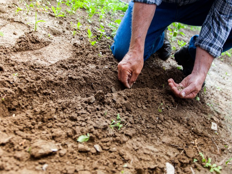 Montanhas Capixabas a caminho do desenvolvimento sustentável