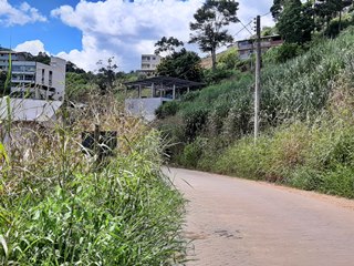 Moradores de um bairro em Marechal Floriano insatisfeitos com matagais no acesso