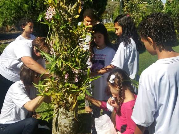 Projeto faz de Marechal Floriano mais do que nunca a Cidade das Orquíieas 03.jpg