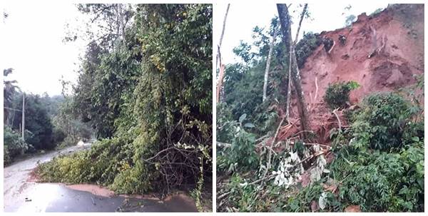Temporal derruba arvores e interdita rodovia em Domingos Martins 02