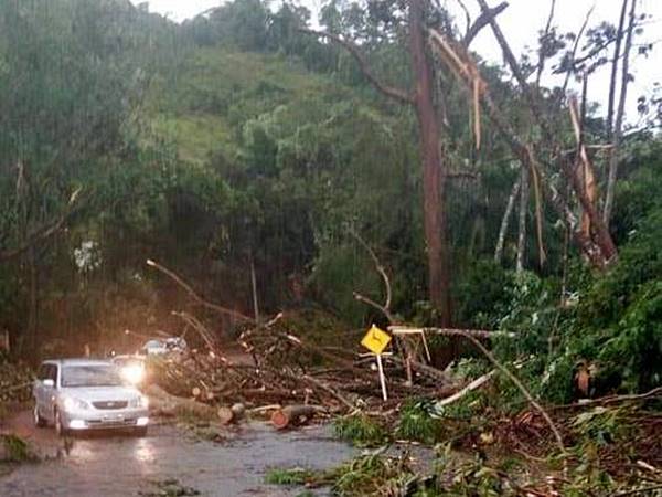 Temporal derruba arvores e interdita rodovia em Domingos Martins 03