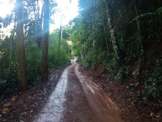 Vias com pisos destru&iacute;dos provocam acidentes e revoltam moradores em Marechal Floriano 3