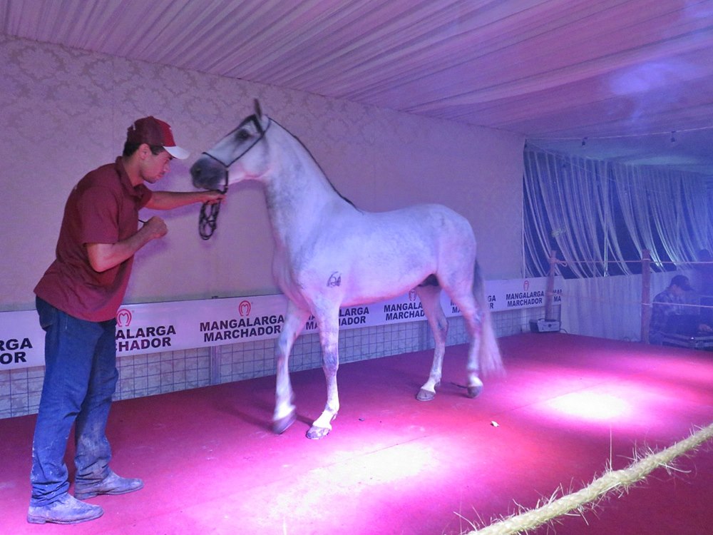 Texto: Clovis Rangel / Foto: Cícero Módolo