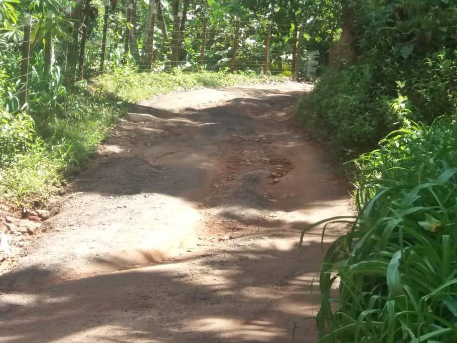 Margens de estrada vicinal em Marechal Floriano invadidas pelo mato e buracos no piso 02