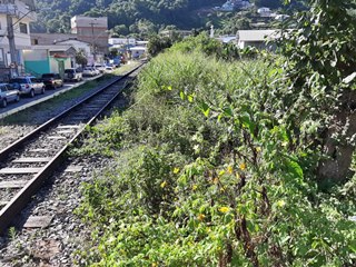 Piora a situação de sujeiras do Córrego Batatal em Marechal Floriano 4