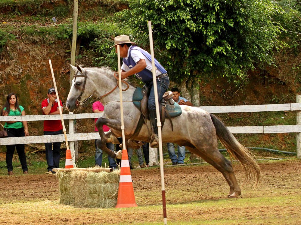 Texto: Clovis Rangel / Foto: Takashi