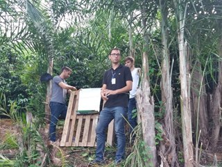 Dia do Campo do Palmito Pupunha em Santa Maria de Marechal