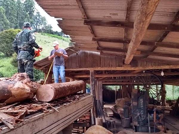 Serraria em situacao irregular e interditada em Santa Leopoldina