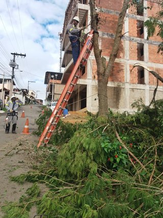 Árvores que põem em perigo cabos elétricos são decepadas em Marechal Floriano