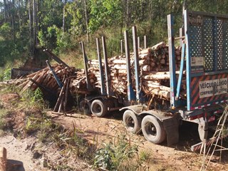 Container despenca de carroceria de carreta e atinge outra carreta em Marechal Floriano