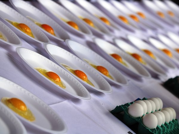 5ª FAVESU supera expectativas com uma programação qualificada sobre avicultura e suinocultura