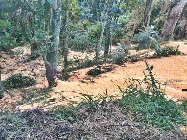 Carreta capotou enquanto transportava milho para racao de galinhas em Santa Maria de Jetiba 03