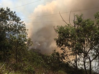 Incêndio destrói área superior a cinco mil metros em Santa Isabel Domingos Martins