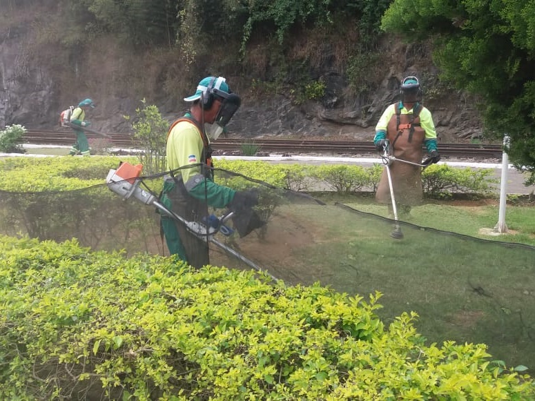 Corte dos matos com m&aacute;quinas e recolhimento dos restos em Marechal Floriano 2