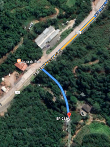 Mudas de Pinus serao distribuidas a produtores da Regiao Serrana do Estado 02