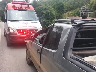 Árvore apodrecida cai sobre caminhonete na BR 262 em Marechal Floriano 2