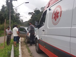 Árvore apodrecida cai sobre caminhonete na BR 262 em Marechal Floriano 3
