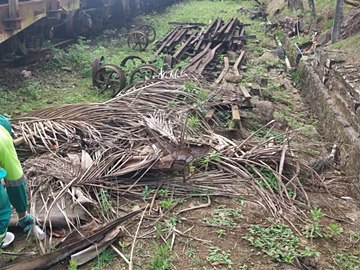Limpeza geral das margens da ferrovia acontecerá nesta semana em Marechal Floriano 2