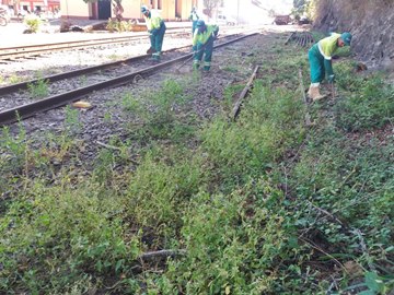 Bra&ccedil;ais cortam matos &agrave;s proximidades da antiga esta&ccedil;&atilde;o ferrovi&aacute;ria em Marechal Floriano