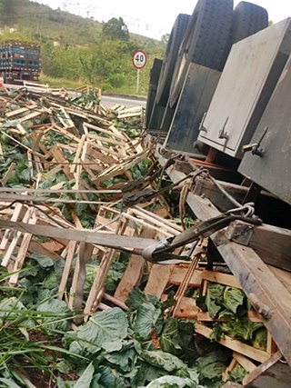 Ex vereador Darcy Rach de Domingos Martins morre em acidente na Bahia