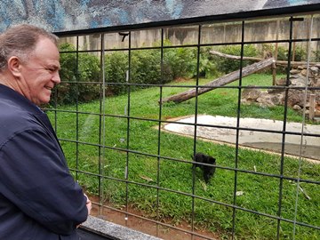 Governador Renato Casagrande conhece as primeiras onças pintadas nascidas no Estado