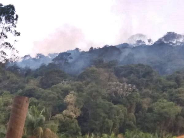 Incendios florestais destroem a natureza nas montanhas do Estado 02
